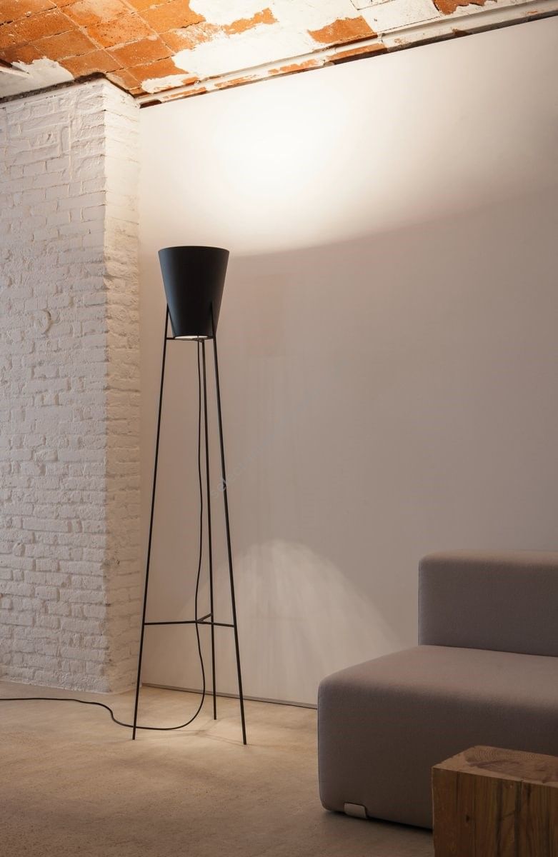 Carpyen / Floor Lamps / Sputnik
