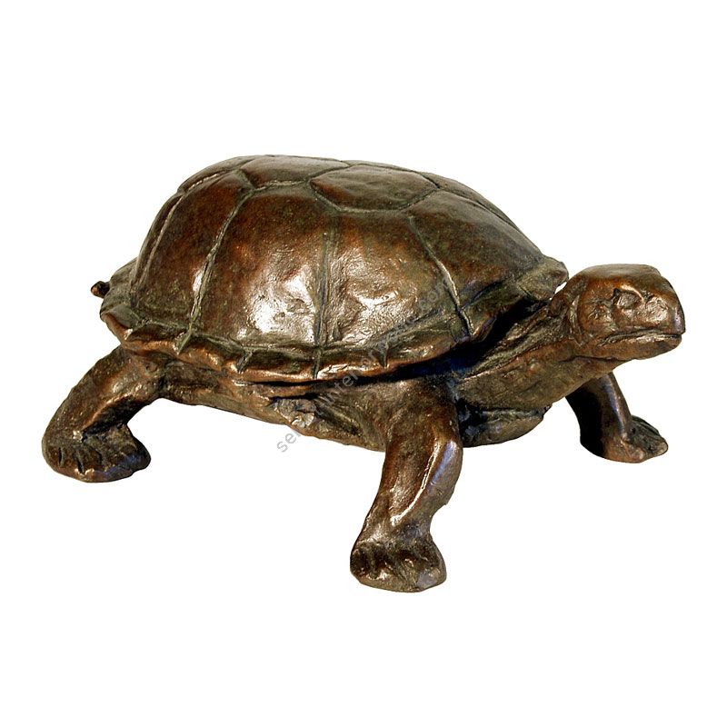 Tom Corbin / Author's sculpture / Turtle S3010