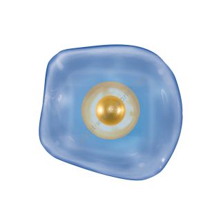 Fine Art Handcrafted Lighting / Wall Sconces / EMBARK 12"H