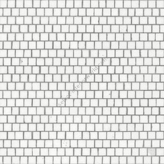 Bisazza / Marmosaico - The marble / Bianco Thassos Shift