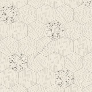 Bisazza / Wood - Decorations / Central Sugar