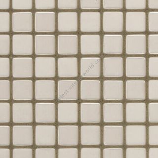 Bisazza / Mosaico - Blends / Daria 12 (Opus romano)