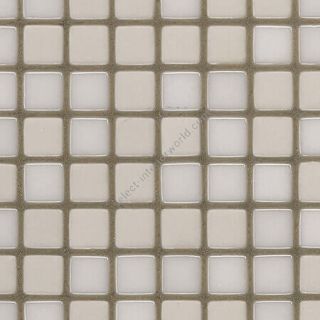 Bisazza / Mosaico - Blends / Demetria 12 (Opus romano)