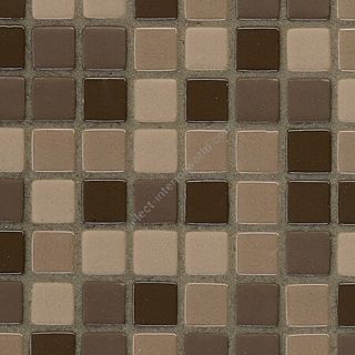 Bisazza / Mosaico - Blends / Donna 12 (Opus romano)