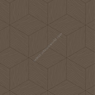 Bisazza / Wood - Decorations / New Escalier Marron Glacé