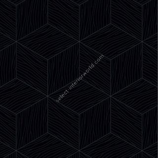 Bisazza / Wood - Decorations / New Escalier Notte