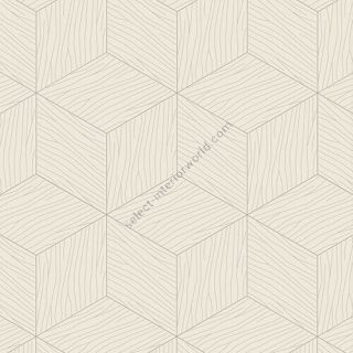 Bisazza / Wood - Decorations / New Escalier Sugar