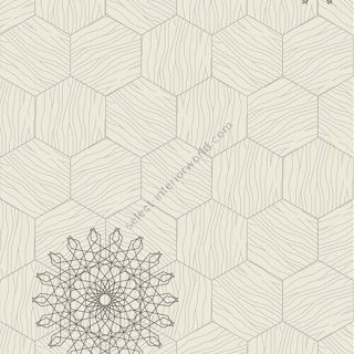 Bisazza / Wood - Decorations / Pirouette Sugar