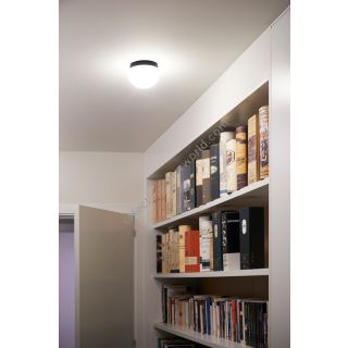 Estiluz / Ceiling Lights / Circ t-3832