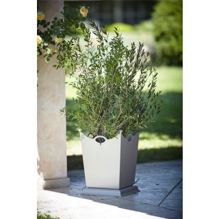 Officina Ciani / Outdoor Flower Boxes / Stainless Steel GF4016VA Maniglie