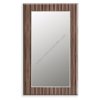 Reflex / Mirrors / Elisa Specchio