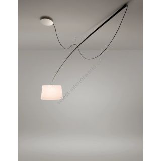 Carpyen / Pendants & Suspension Lights / Robinson