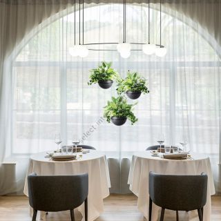 Estiluz / Pendants & Suspension Lights / Circ Flower Pot