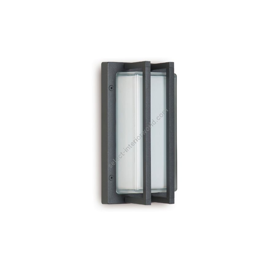 Outdoor rectangular wall lamp / Graphite finish