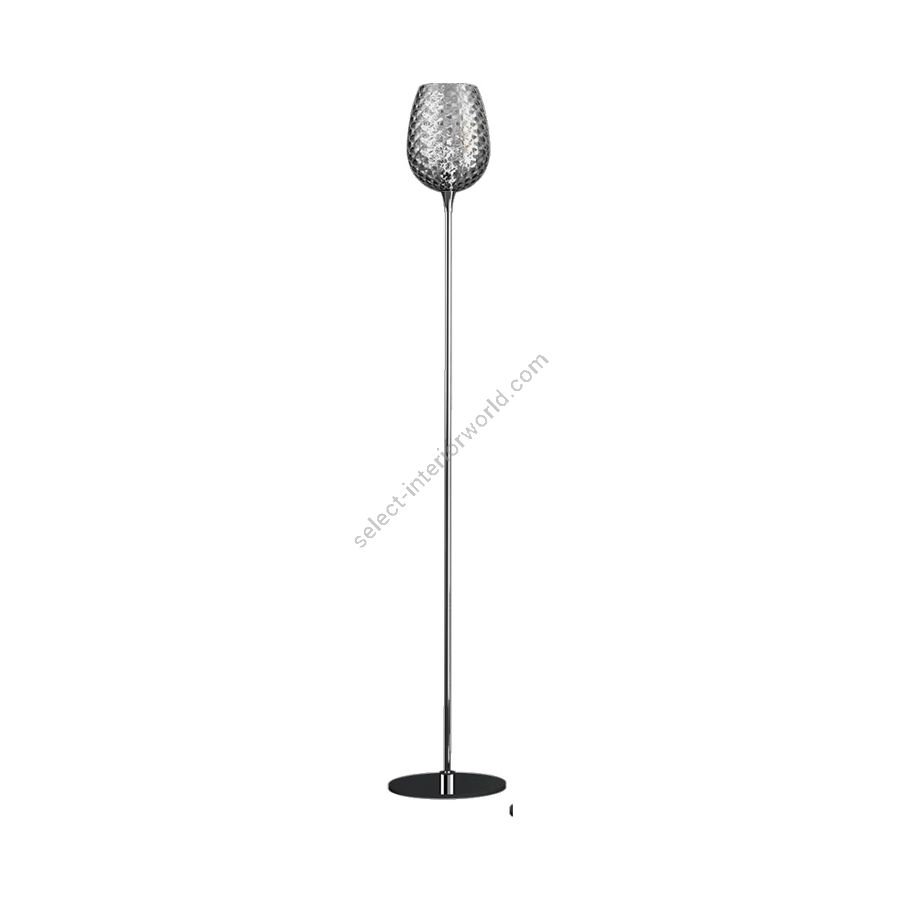 Floor lamp / Iron Grey finish / Transparent glass