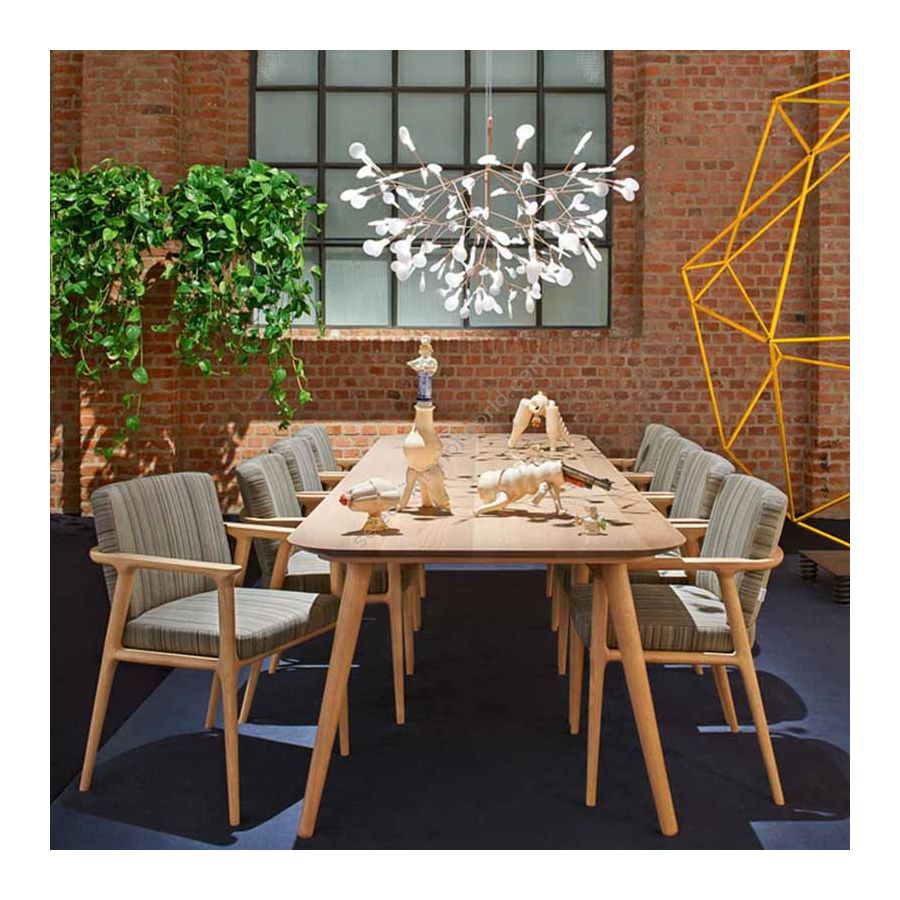 Afbestille Politisk lige ud Moooi Heracleum III Suspended Large / Small Price, buy Online on Select  Interior World Moooi Heracleum III Suspended Large / Small in United  States, US and Canada
