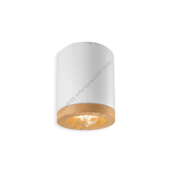 Ferroluce / Flush Mounts / C989
