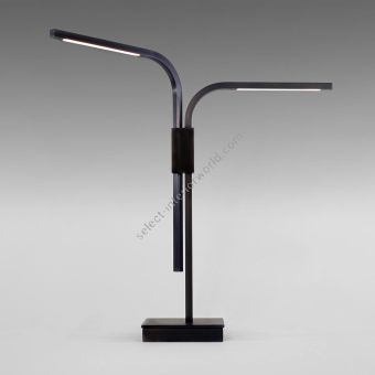 Boyd Lighting / Table Lamps / Branch LED 10721