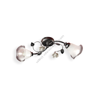 Ferroluce / Flush Mounts / C1184-2
