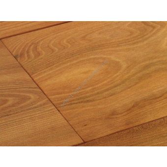 Bassano Parquet / Elm parquet / The Naturals European Elm