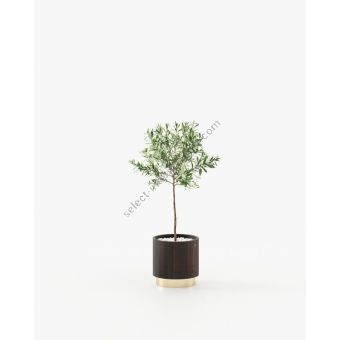 Laskasas / Outdoor Flower Boxes / Gold