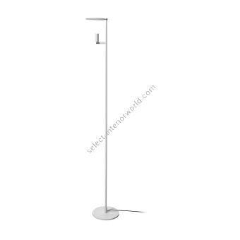 Carpyen / Floor Lamps / Kelly