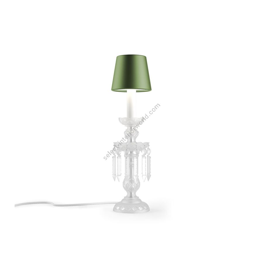 Exquisite Table Lamp / Contemporary Colour / Green Silk lampshade