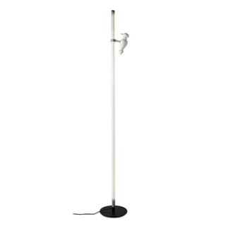 Karman / LED Table & Floor Lamps / Accipicchio HP213 N1/N2 INT