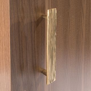 Objet Insolite / Pull / Poignée de tirage Fossile