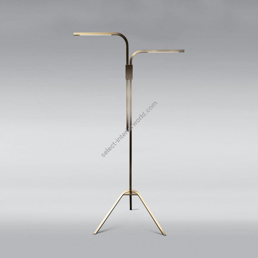 Floor lamp / Satin Brass finish