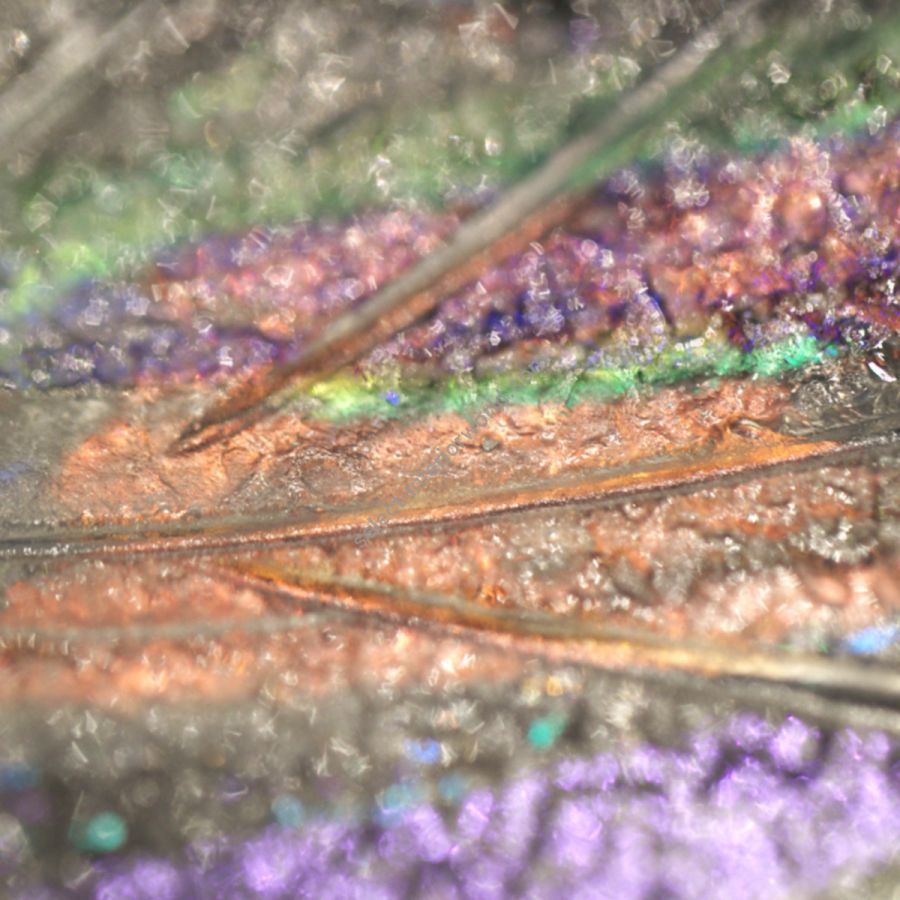 Silver / Dichroic Feathers - 893640-1