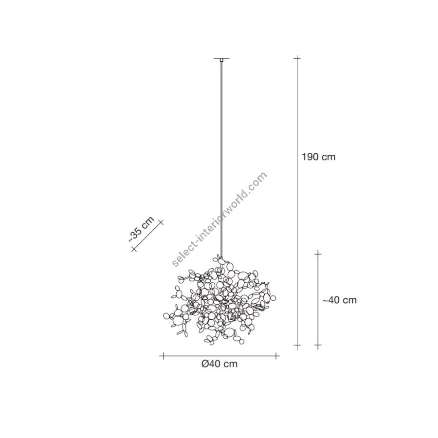 Model: Disc