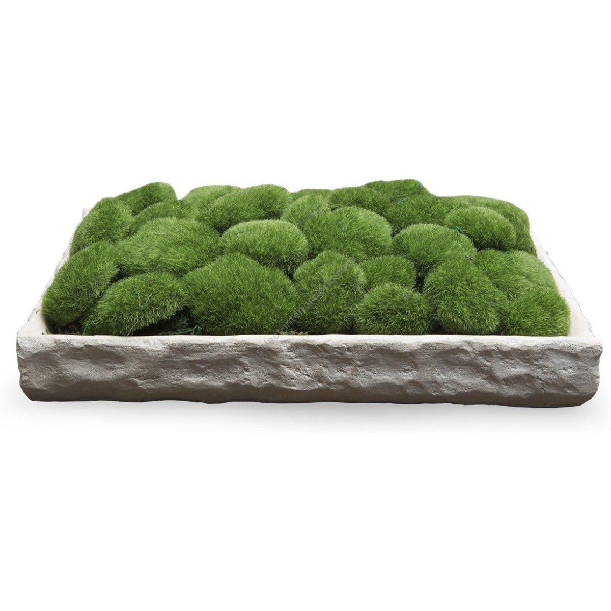 Christopher Guy / Flower Boxes & Flower Pots / Plateau 46-0646