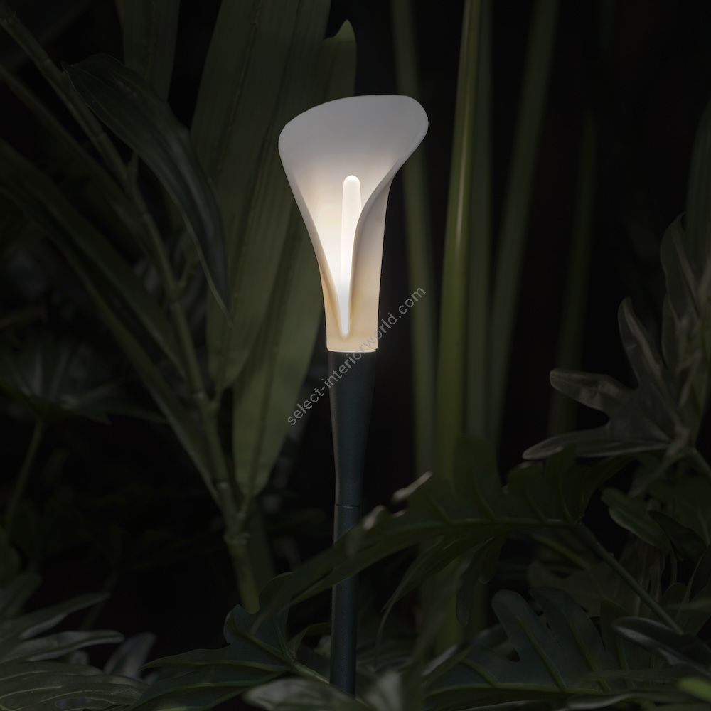 Contardi / Outdoor LED Lights / Bloom Tiny & Long