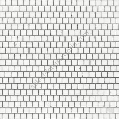 Bisazza / Marmosaico - The marble / Bianco Thassos Shift