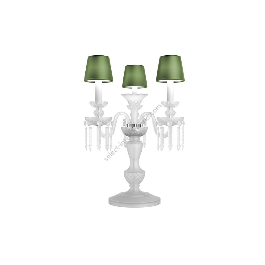 Exquisite Table Lamp / Contemporary Colour / Green Silk lampshades