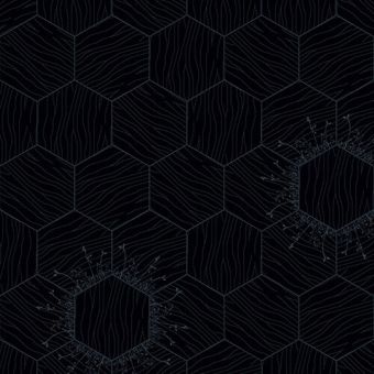 Bisazza / Wood - Decorations / Floral Notte