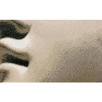 Bisazza / Mosaico - Decorations / Paride Wall (Timeless)