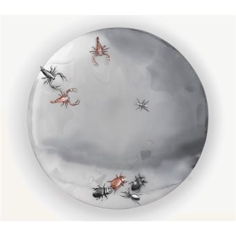 Boca do Lobo / Wall Mirrors / Concave Metamorphosis