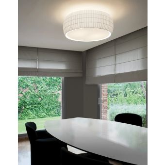 Carpyen / Wall & Ceiling / Isamu