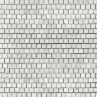 Bisazza / Marmosaico - The marble / Bianco Carrara Shift