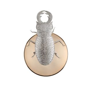 Boca do Lobo / Wall Lights / Filigree Lucanus