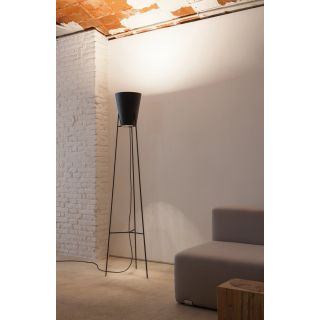 Carpyen / Floor Lamps / Sputnik