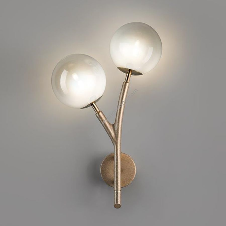 Modern Two Light Wall Lamp / Soft Gold finish