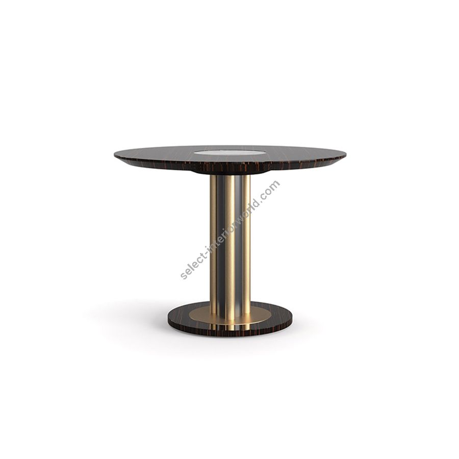 Coffee table / High Gloss Makassar / Polished Brass finish