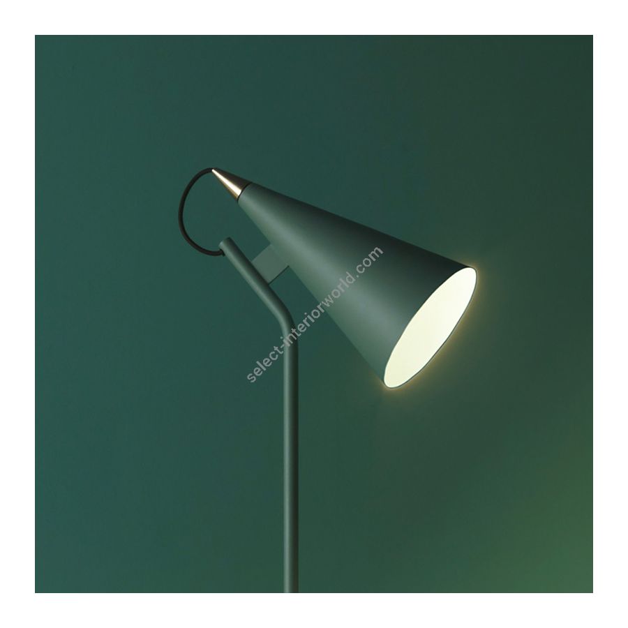 Floor lamp / Jungle green color outside