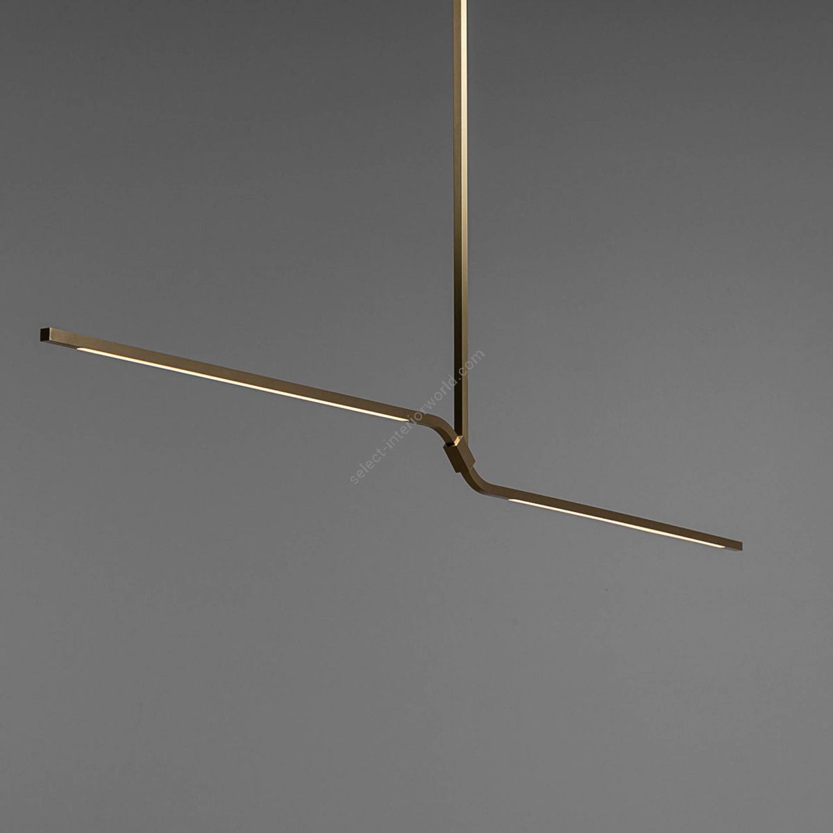 Branch LED Pendant Lamp by Boyd Lighting