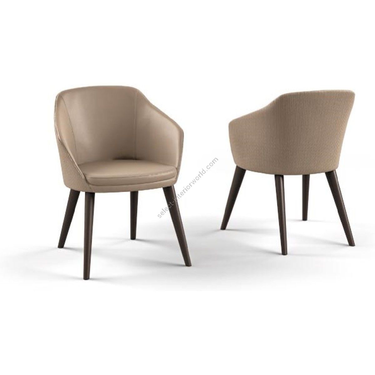 Pregno / Chairs without arms / Moon