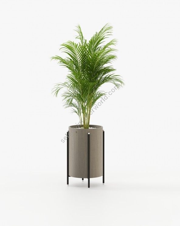 Laskasas / Outdoor Flower Boxes / Rosie