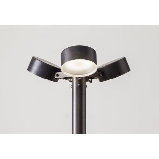 Aldo Bernardi / Pole-head / Acelum